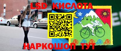 твердый Гусев