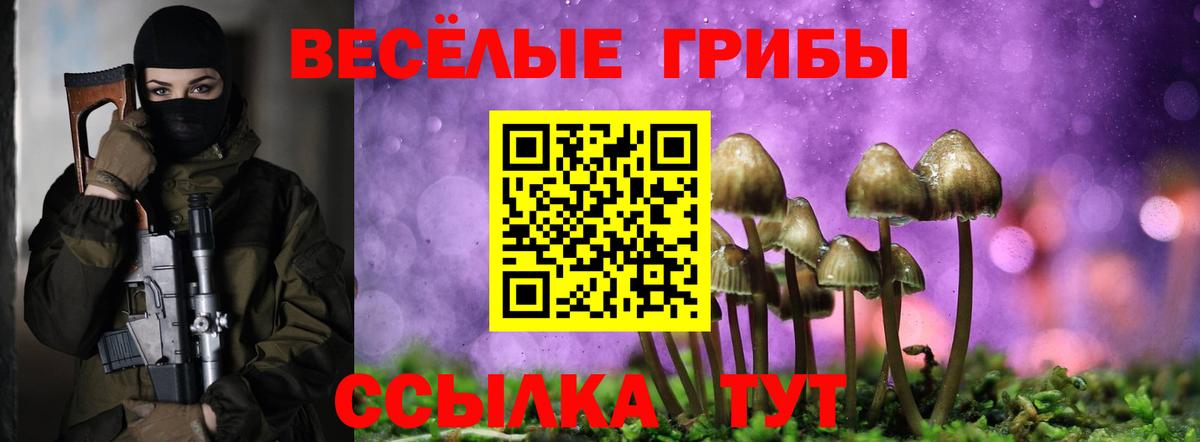 купить наркотики сайты  Вход с VPN  Миасс  Галлюциногенные грибы мицелий 